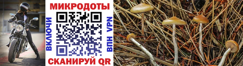 Галлюциногенные грибы прущие грибы  купить закладку  Солигалич 
